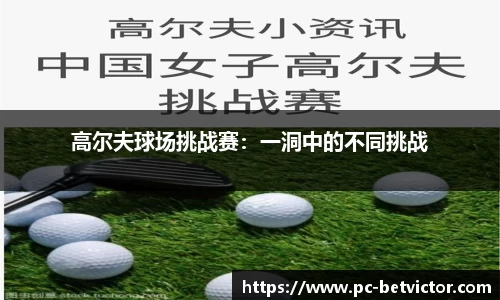 韦德体育